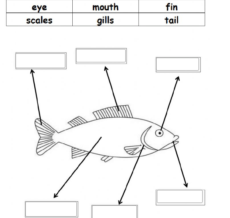 image-20220726215356438